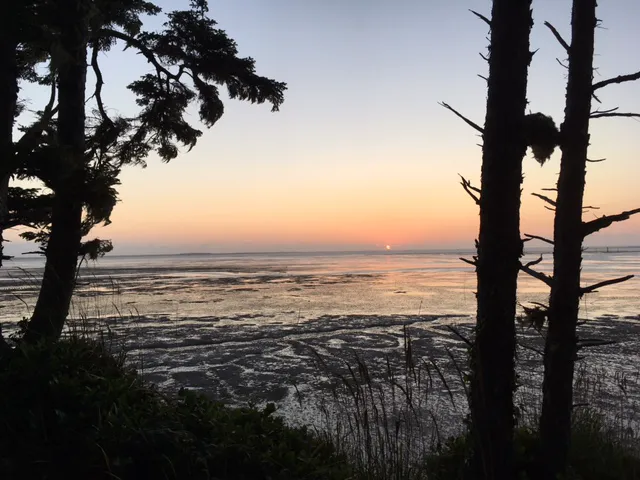 Bush Pioneer Park Picture 5