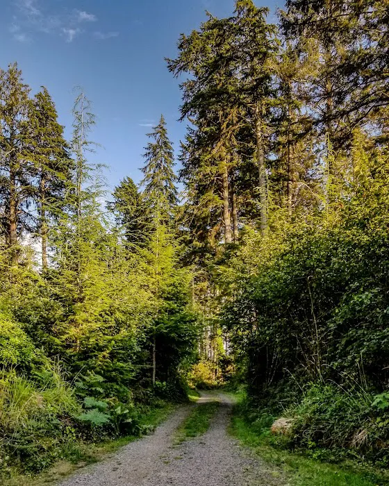 Bush Pioneer Park Picture 8