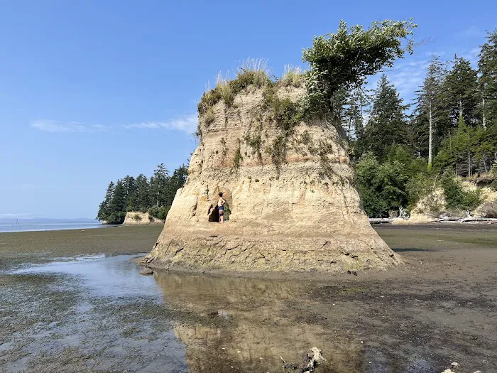 Bush Pioneer Park Picture 9