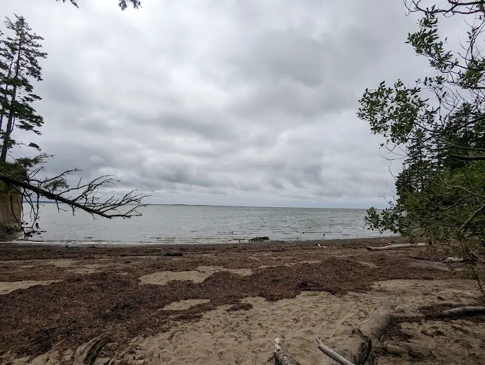 Bush Pioneer Park Picture 6