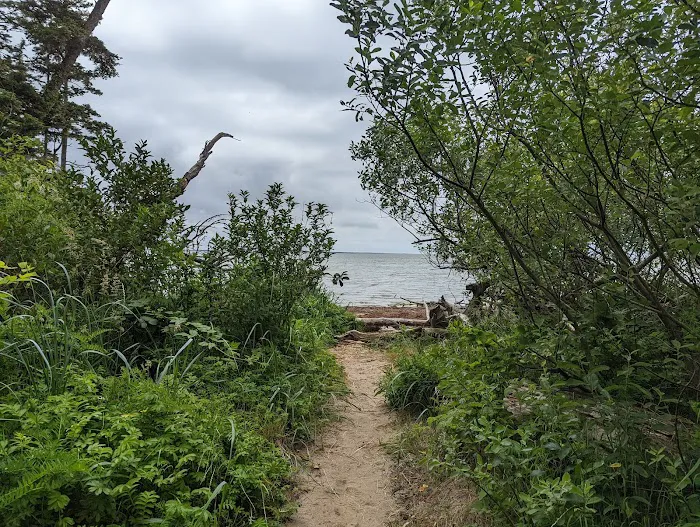 Bush Pioneer Park Picture 7