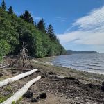 Bruceport County Park & Campground