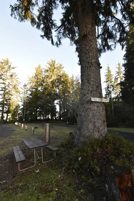 Bruceport County Park & Campground Picture 5