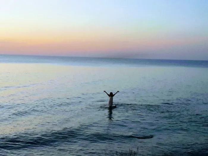 Driftwood Mobile Home Picture 6