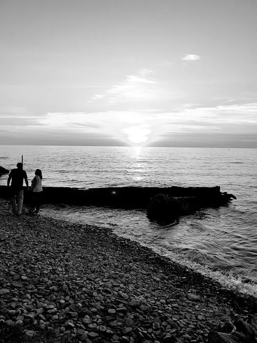 Driftwood Mobile Home Picture 7