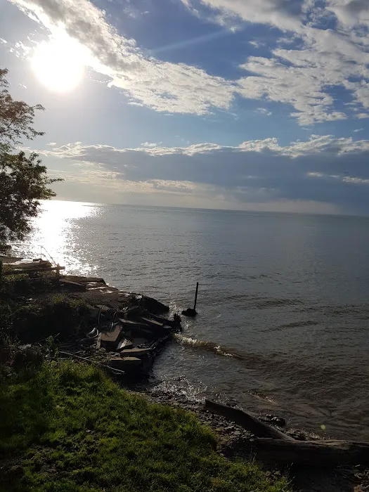 Driftwood Mobile Home Picture 9