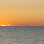 Driftwood Mobile Home