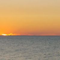 Driftwood Mobile Home ico