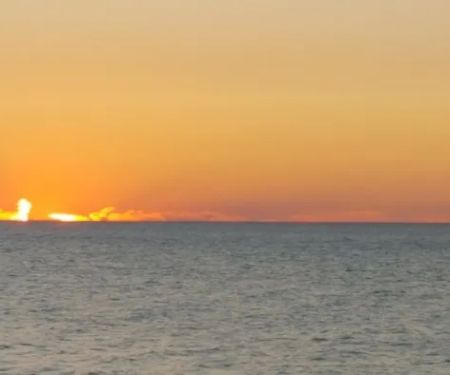 Driftwood Mobile Home