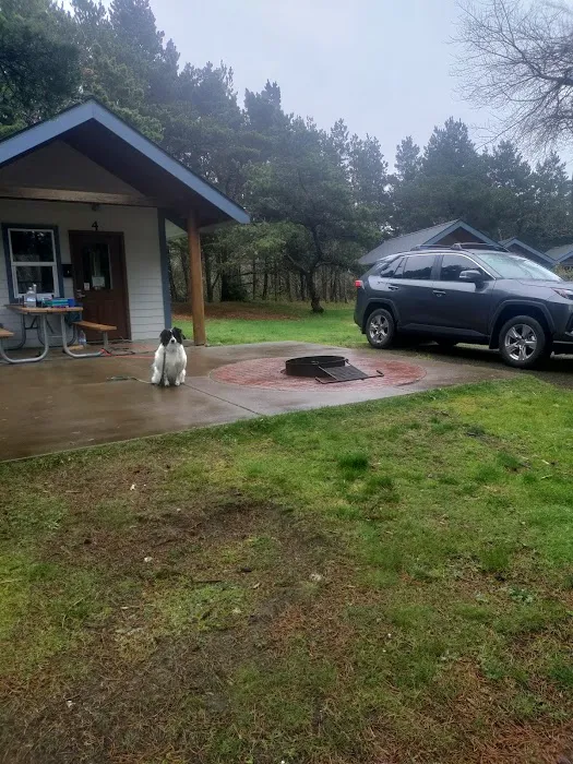 Twin Harbors State Park Campground Picture 7