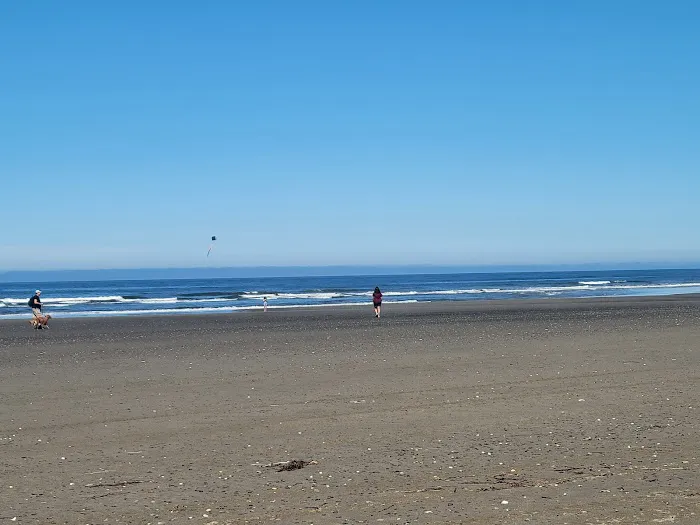 Twin Harbors State Park Campground Picture 5