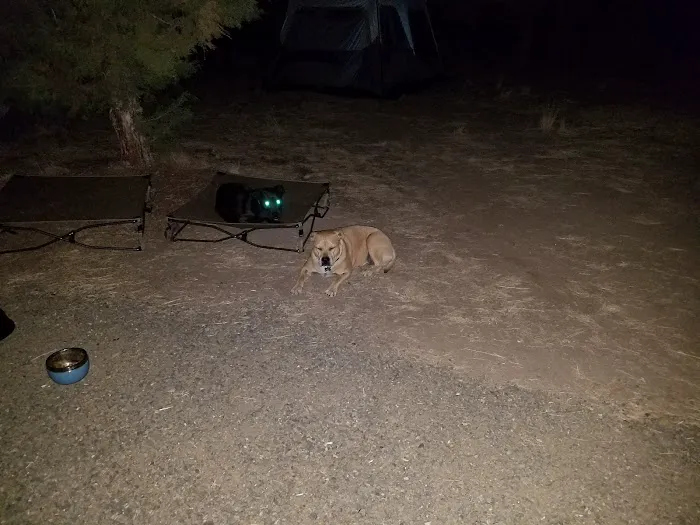 SOUTH SHORE GROUP SITES Picture 6