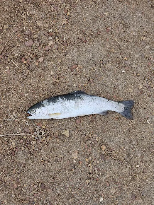 SOUTH SHORE GROUP SITES Picture 7