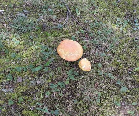 Brady Hills Mobile Home Park