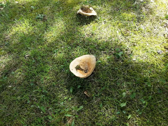 Brady Hills Mobile Home Park Picture 4