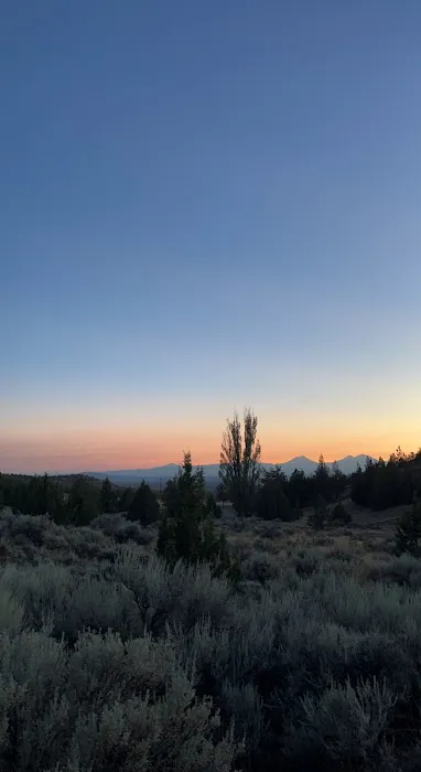 Henderson Flats OHV Trails Picture 3