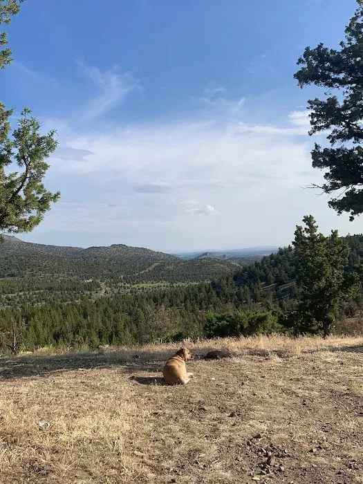 Henderson Flats OHV Trails Picture 5