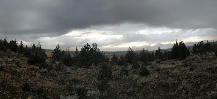 Henderson Flats OHV Trails Picture 1