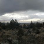 Henderson Flats OHV Trails