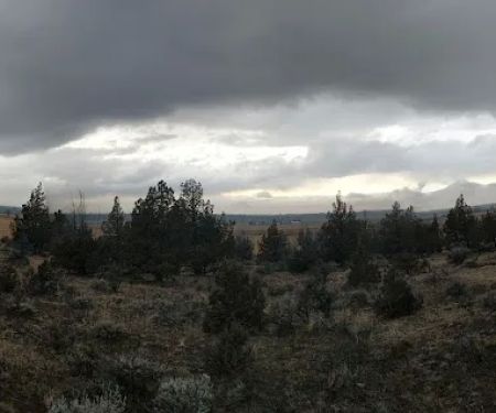 Henderson Flats OHV Trails