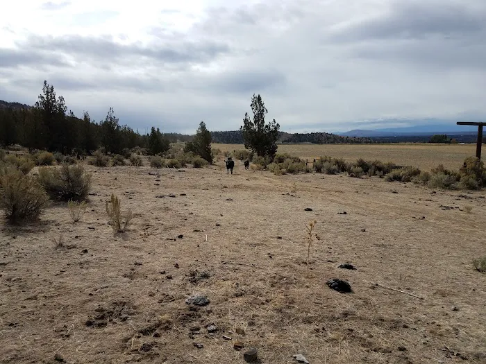 Henderson Flats OHV Trails Picture 6