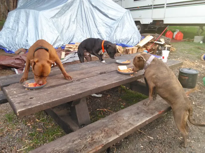 Cyrus Horse Campground Picture 1