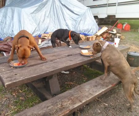 Cyrus Horse Campground