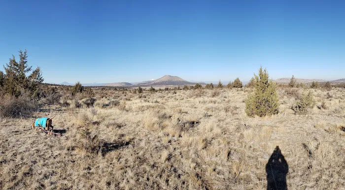 Cyrus Horse Campground Picture 10