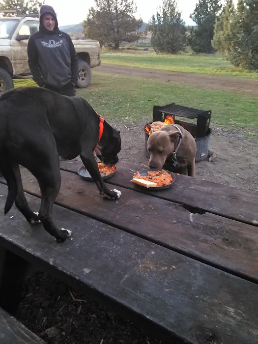 Cyrus Horse Campground Picture 3