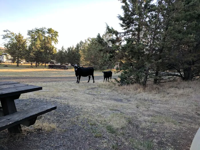 Cyrus Horse Campground Picture 8