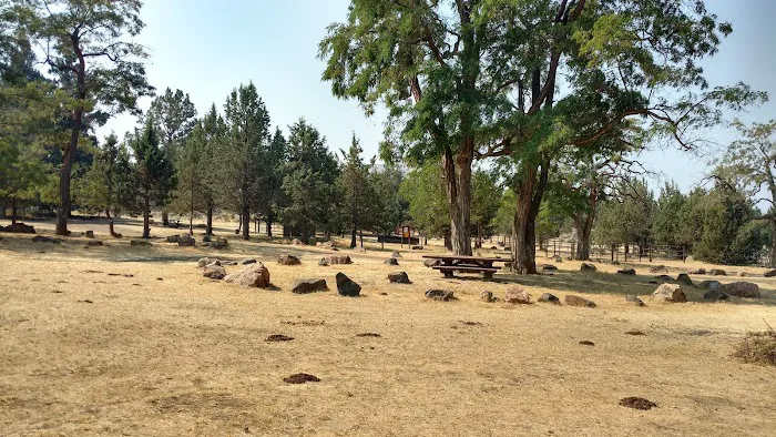 Cyrus Horse Campground Picture 5