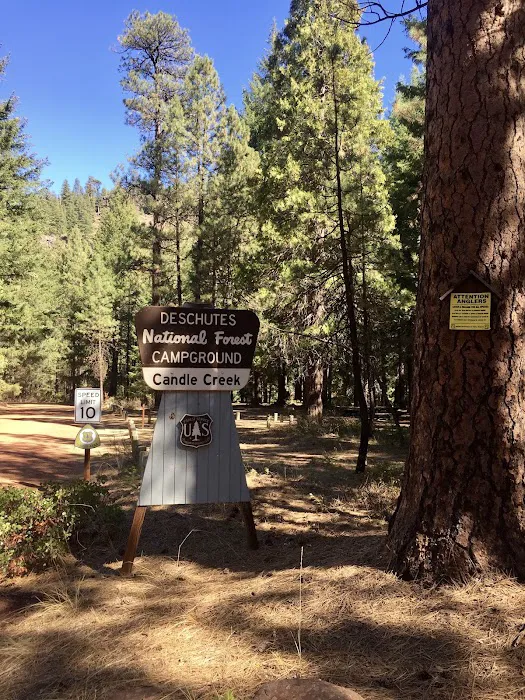 Candle Creek Campground Picture 10