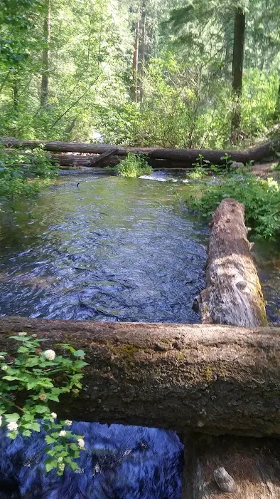 Candle Creek Campground Picture 6