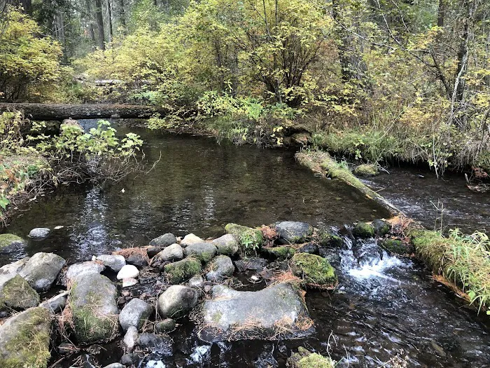 Candle Creek Campground Picture 2