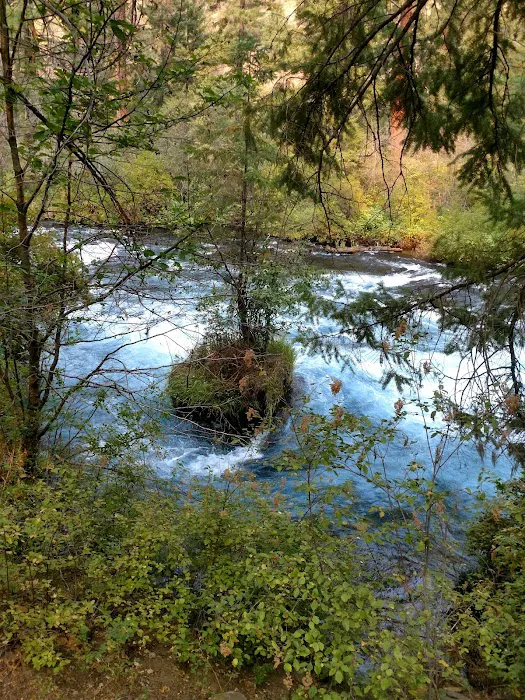 Candle Creek Campground Picture 8