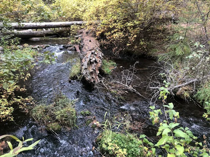 Candle Creek Campground Picture 3