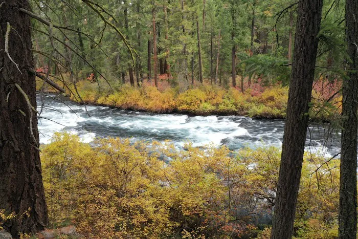 Candle Creek Campground Picture 1