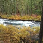 Candle Creek Campground