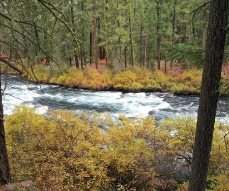 Candle Creek Campground