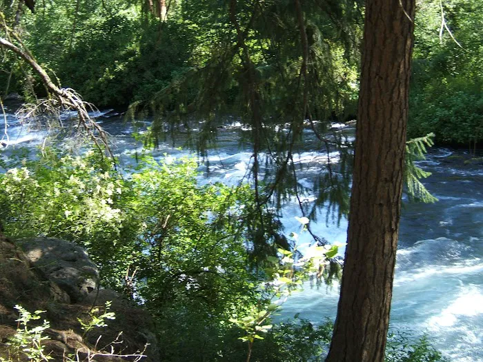 Candle Creek Campground Picture 7