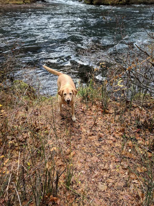 Candle Creek Campground Picture 9