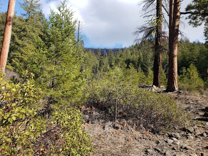 Lower Bridge Campground Picture 7