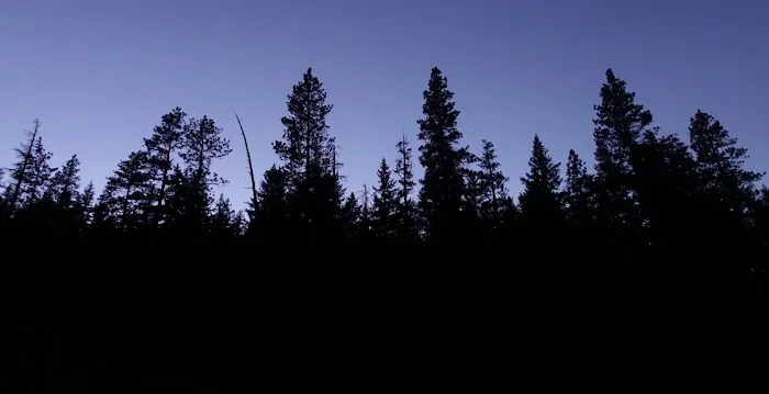 Pioneer Ford Campground Picture 1