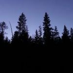 Pioneer Ford Campground