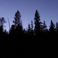 Pioneer Ford Campground ico