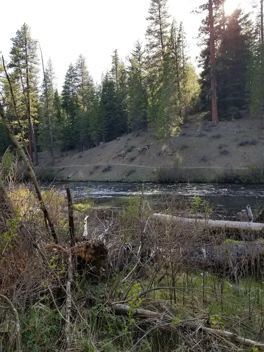 Pioneer Ford Campground Picture 7