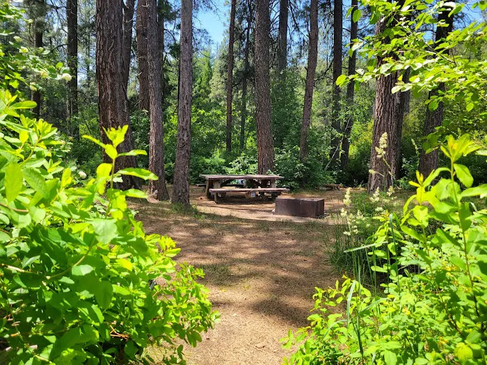 Allen Springs Campground Picture 10