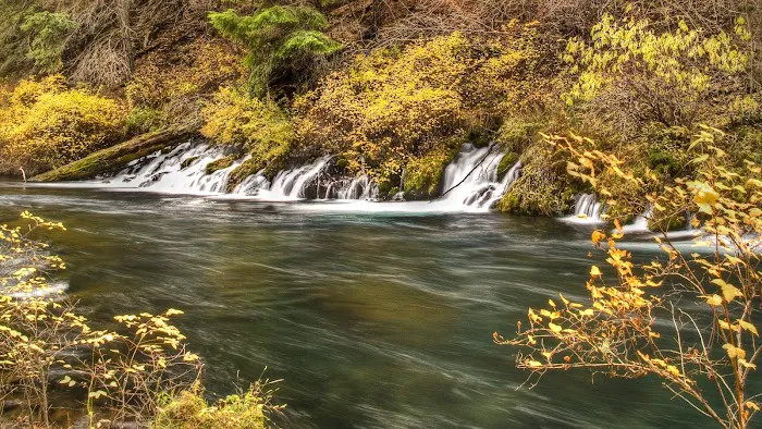 Allen Springs Campground Picture 4