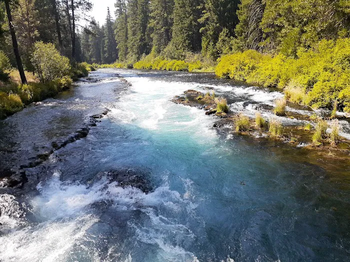 Allen Springs Campground Picture 6