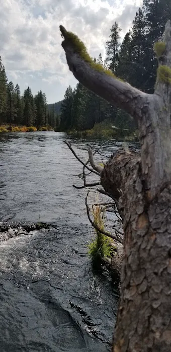 Allen Springs Campground Picture 7